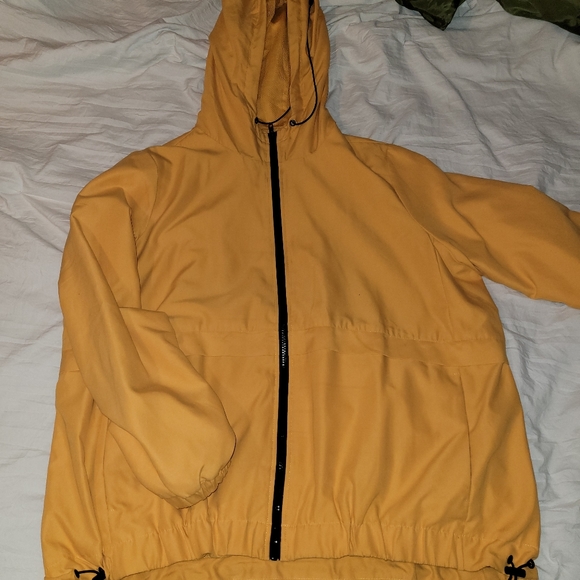 Yellow jacket - Picture 6 of 6